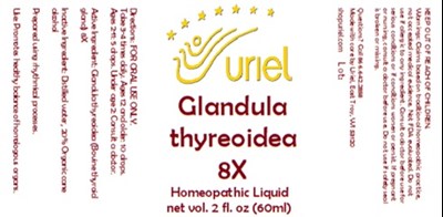 Glandula Thyreoidea 8x Liquid (Glandula Thyreoidea 8x Liquid)